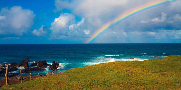 Maui Rainbow photo