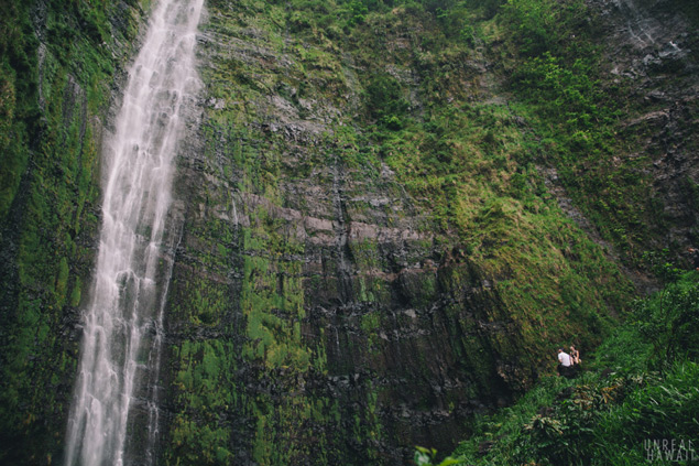 Amazing Waimoku Falls - waterfall on Maui